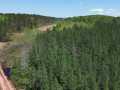 Spooner Land Real Estate
