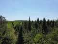 Spooner Land Real Estate