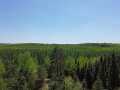 Spooner Land Real Estate