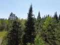Spooner Land Real Estate