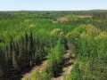 Spooner Land Real Estate