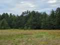 Augusta Land Real Estate