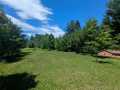 Bruce Residential Real Estate