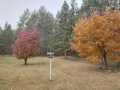Springbrook Residential Real Estate