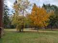 Springbrook Residential Real Estate
