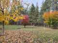 Springbrook Residential Real Estate