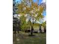 Springbrook Residential Real Estate
