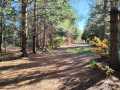 Springbrook Residential Real Estate