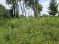 Menomonie Land Real Estate