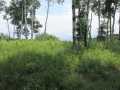 Menomonie Land Real Estate