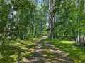 Trego Residential Real Estate