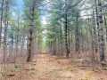Rice Lake Land Real Estate