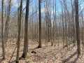 Rice Lake Land Real Estate