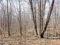 Rice Lake Land Real Estate