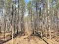 Rice Lake Land Real Estate
