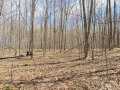 Rice Lake Land Real Estate