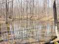 Rice Lake Land Real Estate