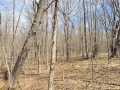 Rice Lake Land Real Estate