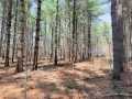 Rice Lake Land Real Estate