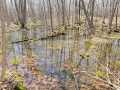 Rice Lake Land Real Estate