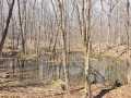 Rice Lake Land Real Estate