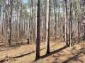 Rice Lake Land Real Estate