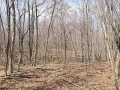 Rice Lake Land Real Estate