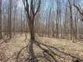 Rice Lake Land Real Estate
