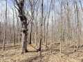 Rice Lake Land Real Estate