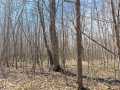 Rice Lake Land Real Estate
