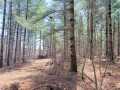 Rice Lake Land Real Estate