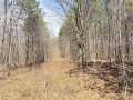 Rice Lake Land Real Estate