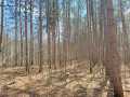 Rice Lake Land Real Estate