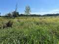 Hixton Farm Real Estate