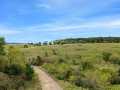 Osseo Residential Real Estate