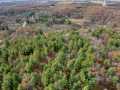 Elk Mound Land Real Estate