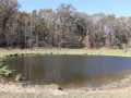 Fairchild Farm Real Estate