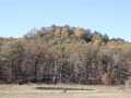Fairchild Farm Real Estate