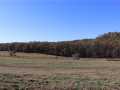 Fairchild Farm Real Estate