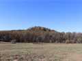 Fairchild Farm Real Estate
