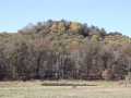 Fairchild Farm Real Estate