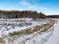 Eleva Land Real Estate