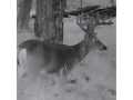 Property Photo 52
