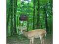 Property Photo 54