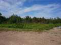 Granton Land Real Estate