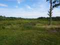 Granton Land Real Estate