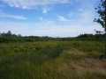 Granton Land Real Estate