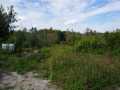 Granton Land Real Estate
