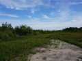 Granton Land Real Estate