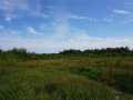 Granton Land Real Estate